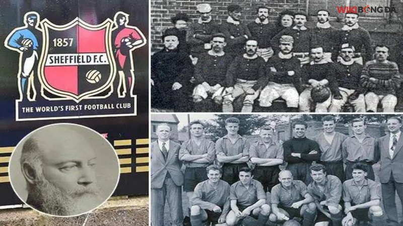Hành trình của Sheffield FC với bóng đá