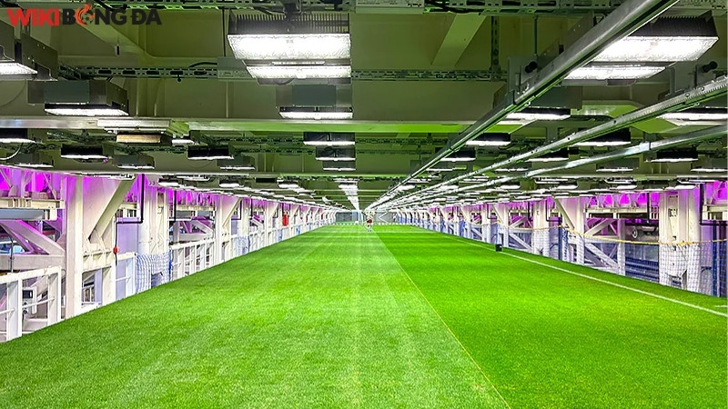 Công nghệ Hypogeum - Bảo tồn trong lòng đất